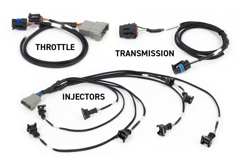 Haltech NEXUS Rebel LS Engine Management System — Gen III