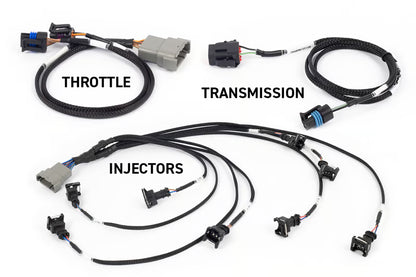 Haltech NEXUS Rebel LS Engine Management System — Gen III