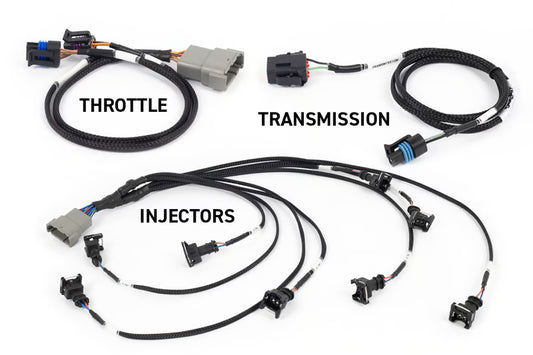 Haltech NEXUS Rebel LS Engine Management System — Gen III
