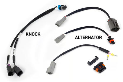 Haltech NEXUS Rebel LS Engine Management System — Gen III