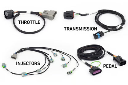 Haltech NEXUS Rebel LS Engine Management System — Gen IV